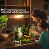 PawHut Terrarium für Reptilien Glasterrarium 24L Reptil Produktbild-Vorschau 6