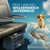 A pet carrier is shown under an airplane seat, with a puppy and a cat sitting on clouds in the background. Anteprima dell’immagine prodotto
