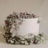 Leuchterblume - 2 Stk - Ceropegia linearis Woodii - Höhe Produktbild-Vorschau 5