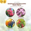 Solabiol® Grundstoff Lecithin Rosen-Spray anwendungsfertig Produktbild-Vorschau 4