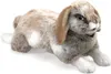 Folkmanis Hase Handpuppe 41 cm Produktbild-Vorschau 7