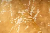 Dolce Vita 200 Gold 120cm x 170cm Produktbild-Vorschau 3