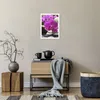 Poster - Poster ohne Rahmen - Orchidee Bambus Dekoration Produktbild-Vorschau 6