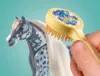 Horses of Waterfall - Grajd cu Amelia si calutul Whisper Náhled obrázku produktu 18