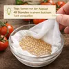 Tomate Harzfeuer F1 1000 Korn, leuchtend rote Früchte Produktbild-Vorschau 4