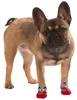 Kerbl Pfotenschutz Hundesocken Bruno M, grau/rot; 81419 Produktbild-Vorschau 3