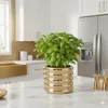 A potted plant sits on a marble countertop in a modern kitchen. Náhled obrázku produktu