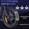 F20 E Bike Faltrad 20 Zoll Fat Bike 250 W 25 km/h, City Produktbild-Vorschau 4