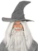 Toverhoed, middeleeuwen, mystiek, Halloween, magiër, heks, Productafbeelding-voorbeeld 2