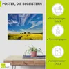 ARTland Poster Rapsfeld I Größe: 40x30 cm Produktbild-Vorschau 2