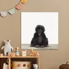 MuchoWow® Poster Kind - Affe - Schimpanse - Babytiere - Produktbild-Vorschau 6