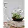 Dekoglas Kugelvase Terrarium APFEL H. 26cm klar transparent Produktbild-Vorschau 2