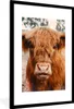 MuchoWow® Gerahmtes Poster Kuh - Schottischer Hochländer - Produktbild-Vorschau 1
