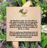 Semena květin směs do stínu FloraSelf Select Náhled obrázku produktu 3
