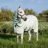 Horseware Ireland Fliegendecke Rambo Hoody XL Green/Sage, Produktbild-Vorschau 2