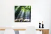 MuchoWow® Poster Sonnenstrahlen dringen durch die Bäume in Produktbild-Vorschau 5