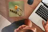 MuchoWow® Mauspad Mousepad Vogel - Rotkehlchen - Produktbild-Vorschau 3