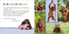 Hör mal rein - Tierbabys Produktbild-Vorschau 5
