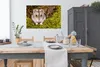 MuchoWow® Poster Grauer Zwerghamster 120x80 cm - Bilder Produktbild-Vorschau 3