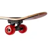 Nils Extreme Skateboard per bambini, ragazzi e adulti - Anteprima dell’immagine prodotto 11