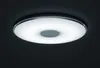 TRIO 628915001, 4000 lumen Productafbeelding-voorbeeld 30