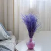 Federgras Getrocknete - (Stipa pennata) - Lavendel Produktbild-Vorschau 6