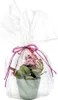 folia Geschenkfolie 20 my unbedruckt 700 mm x 10 m Produktbild-Vorschau 1