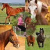 Hobbypferd Tête de cheval sur tige Son peluche marron Voir les images du produit 4