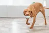 TRIXIE Snackball - grau - ø 9 cm Produktbild-Vorschau 2