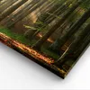 Bild auf Leinwand - Leinwandbild - Wald Baum Natur - Produktbild-Vorschau 5