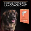 PRO PLAN CANINE ADULT ROBUST DERMA GROß 14KG Anteprima dell’immagine prodotto 12