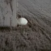 A close-up of a fluffy gray rug with a white stone and a piece of distressed white wood. Produktbild-Vorschau