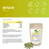 Betulin (Birkenrinden-​Extrakt), 180 Kapseln Produktbild-Vorschau 2