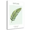 Leinwandbild Grünes Blatt – Natur 80x120 Feeby Grün bild Produktbild-Vorschau 1