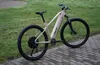 An e-bike is parked on a paved walkway next to a grassy area. Produktbild-Vorschau
