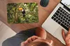 MuchoWow® Mauspad Mousepad Vogel - Tukan - Dschungel - Produktbild-Vorschau 3