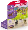 schleich HORSE CLUB 42711, 5 rok / roky, Horses, Náhľad obrázku produktu 12