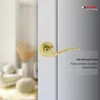 A close-up of a gold door handle on a white door, with a blurred background of a room interior. Produktbild-Vorschau