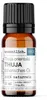 Thuja (10ml) - naturreines, ätherisches Öl von wesentlich Produktbild-Vorschau 1