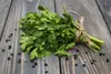 SAFLAX - Bio - Kolendra - 150 Nasiona - Coriandrum sativum Podgląd zdjęcia produktu 9