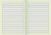An open notebook with lined pages on a light green background. Anteprima dell’immagine prodotto