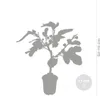 Bloomique - Ficus Carica Brown Turkey - Drzewo figowe - Podgląd zdjęcia produktu 4