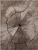 A close-up view of a rug with a wood grain pattern. Produktbild-Vorschau