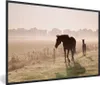 MuchoWow® MuchoWow® Gerahmtes Poster Pferde - Nebel - Produktbild-Vorschau 1
