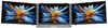 Blackview Dual Laptop Bildschirm Erweiterung 14" / 15,3" Produktbild-Vorschau 4
