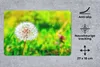 MuchoWow® Mauspad Mousepad Löwenzahn - Gras - Blume 27x18 Produktbild-Vorschau 2