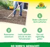 Neudorff Universal RasenSamen für Garten 2 kg für 100m² - Produktbild-Vorschau 5