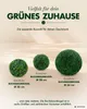 Buis au Boule Décoratif 28 cm Artificielle Plantes Decovego Voir les images du produit 6