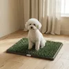 Hundetoilette 63 x 50,5 cm Hundeklo mit 2 Kunstrasen Produktbild-Vorschau 2