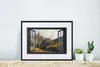 MuchoWow® MuchoWow® Gerahmtes Poster Aussicht - Berg - Baum Produktbild-Vorschau 6